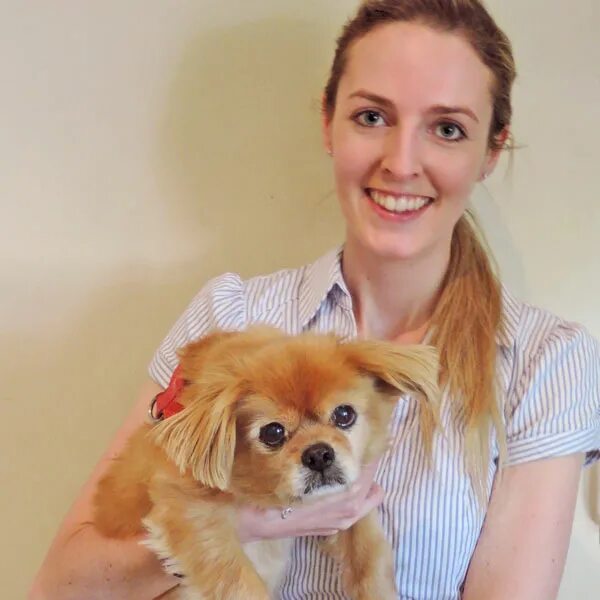 Иммунизация животных. Котята и щенки у ветеринара. На приеме у ветеринара. Врач ветеринар. Sonya vet underground.