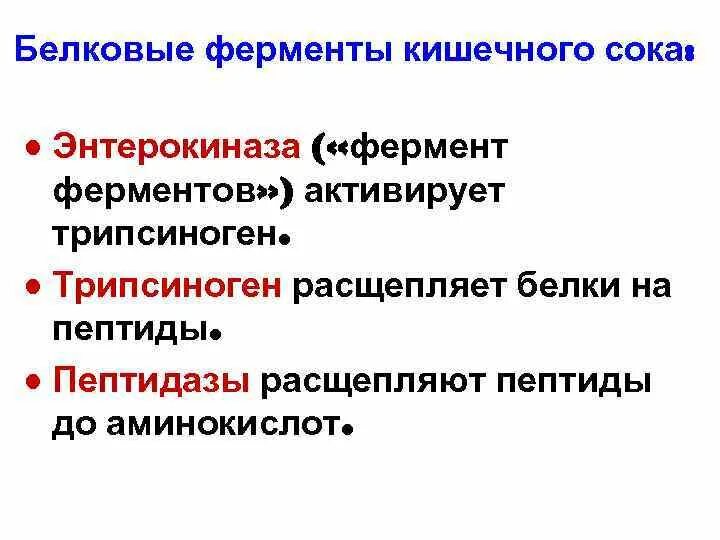 Ферменты кишечного сока. Пептидаза фермент. Какие ферменты расщепляет кишечный сок. Фермент пептидаза расщепляет. Какой фермент способен расщеплять пептиды