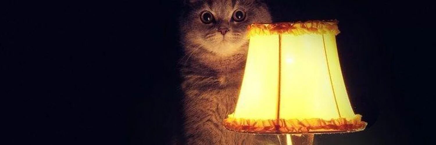 Настало время видео. Лампа кот. Время охуительных историй кот. Кот с лампой настало время. Кот Охуительные истории.