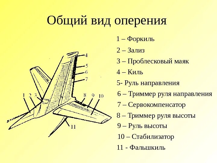 Схема хвостового оперения самолета. Механизация хвостового оперения самолета. Схемы вертикального оперения самолета. Конструкция хвостового оперения самолета. Крыла самолета 7 букв