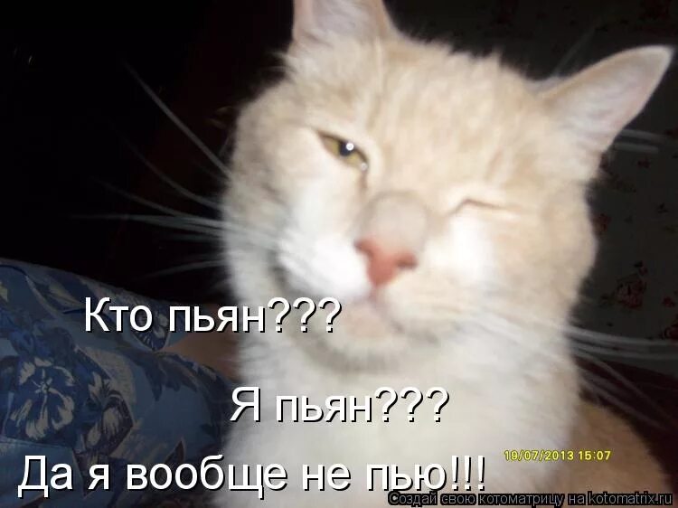 Снова пьяные друзья и меня до дома
