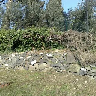 Find cat
