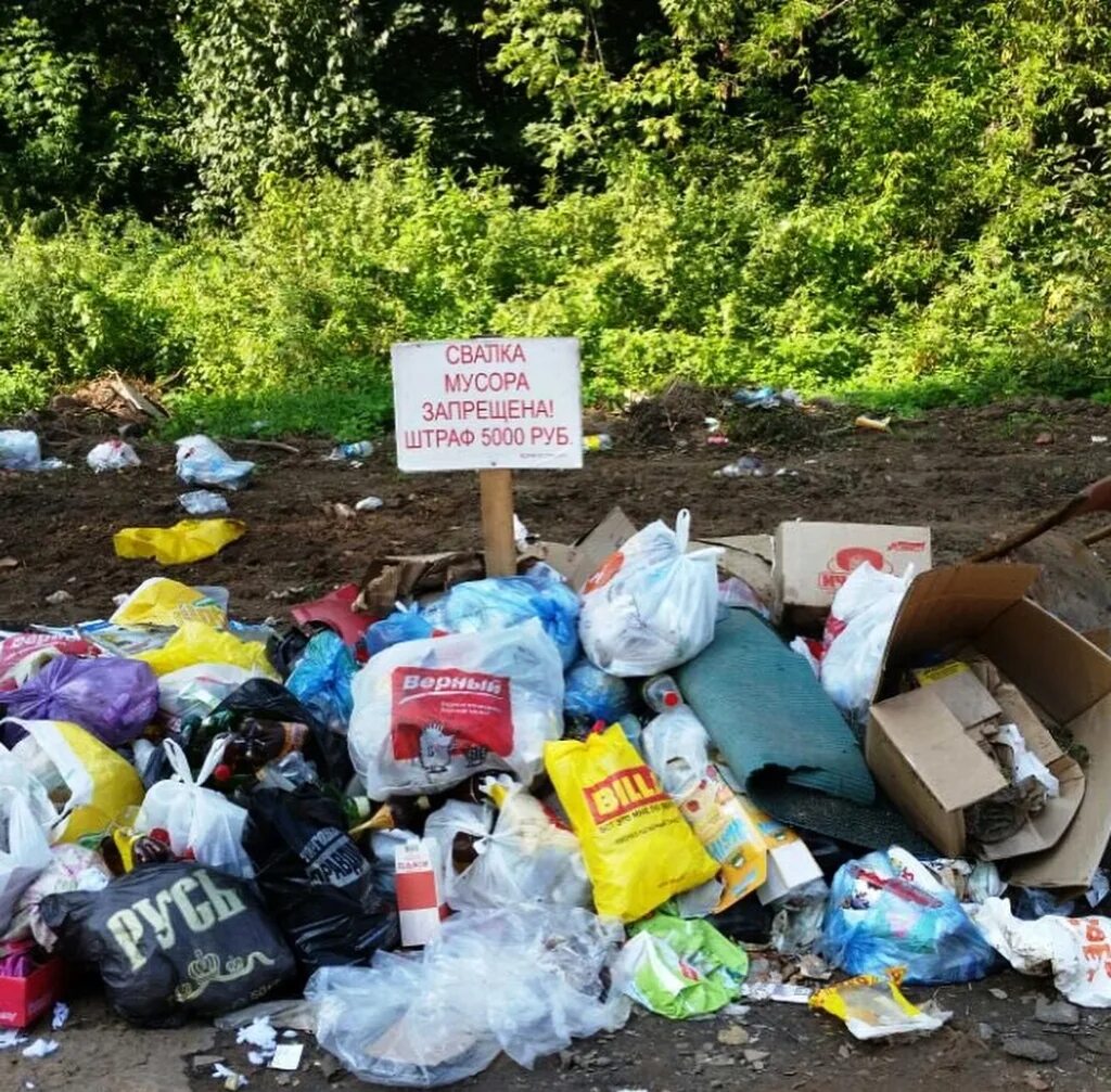 Какие группы бытовых отходов выброшенных вами. Выбрасывание отходов.