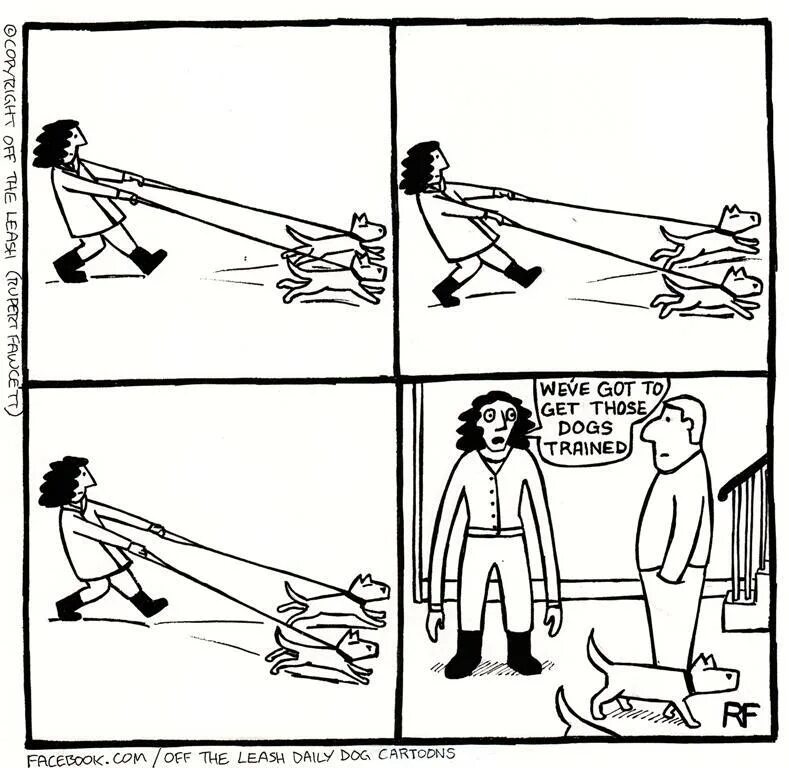 Get off the leash. Off the leash. комиксы off the leash. комикс dog walk.