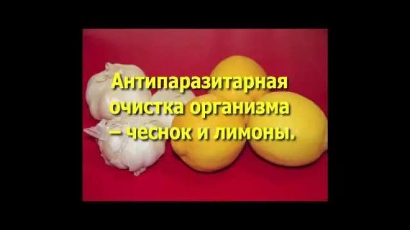 Чеснок от глистов как принимать. Лемон от глистов рецепт. как избавиться от глистов с помощью чеснока. можно ли избавиться от глистов с помощью чеснока?.