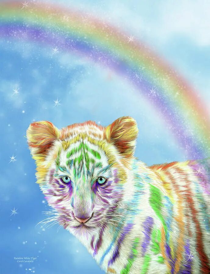 Кэрол Каваларис картины тигры. Разноцветный тигр. Радужные животные. Радужные картины.