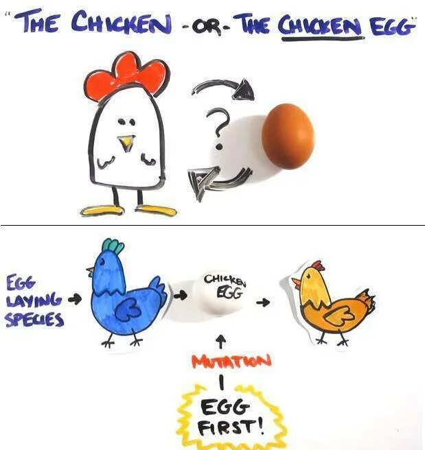 Что появилось первее курица. Which came first the Chicken or the Egg. Chicken or Egg. Chicken-and-Egg problem. Who came first Chicken or Egg.