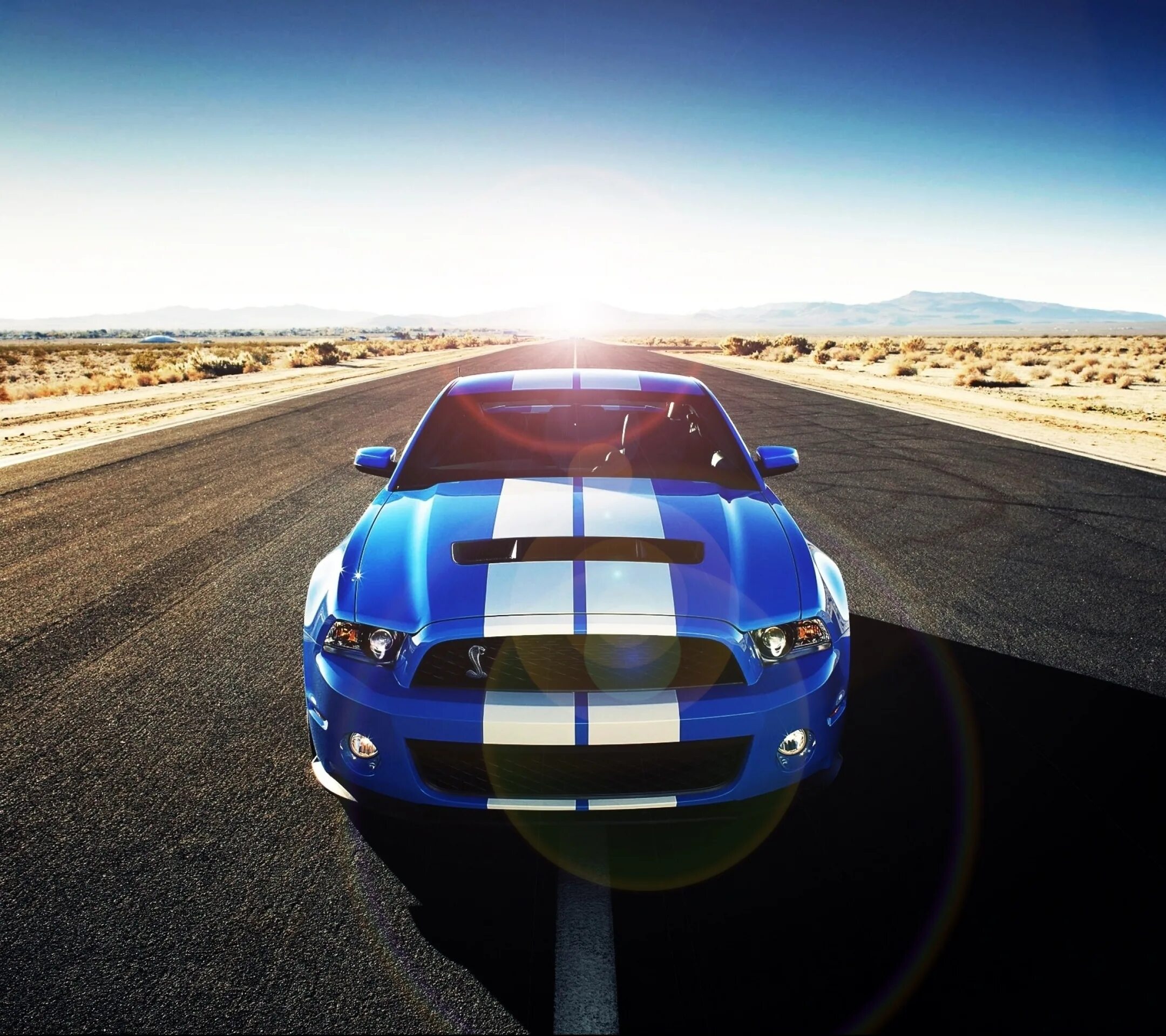 Форд Мустанг gt 500 Shelby. Ford Shelby gt500. Mustang Shelby gt500. Ford Mustang Shelby gt500 2015. Через 480