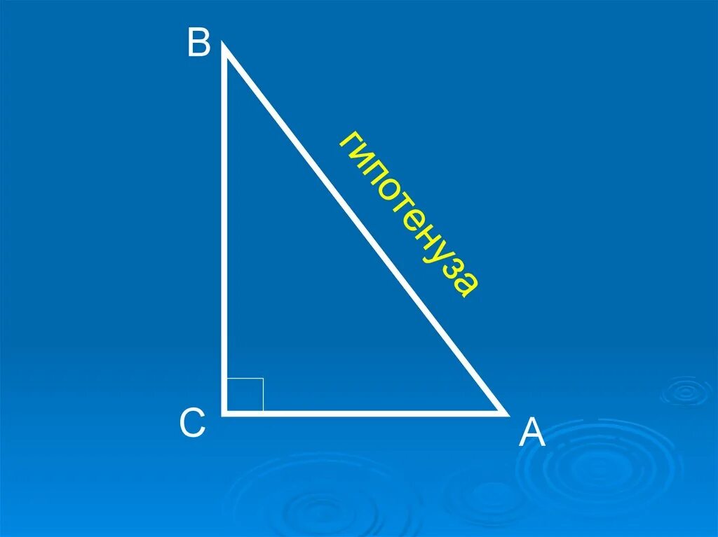 Катет и гипотенуза прямоугольного треугольника. Катет катет гипотенуза. Катеты и гипотенуза треугольника. Катет это в геометрии.