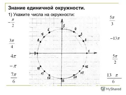 Числовая окружность задания