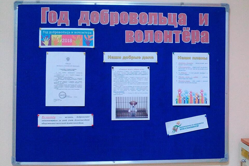 Добровольцы как оформить
