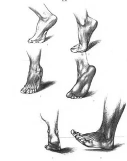 Legs art