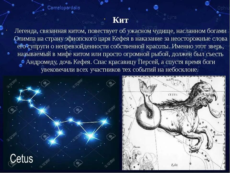 Самое крупное созвездие
