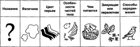Составить схему птицы