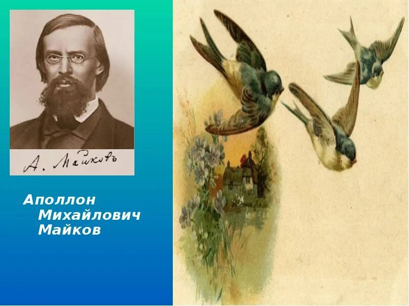 Майков анализ стихотворения. Аполлон Николаевич Майков ласточки. Аполлон Майков стих ласточки. Майков Аполлон Николаевич Ласточка стихотворение. Аполлон Николаевич Майков Ласточка примчалась….