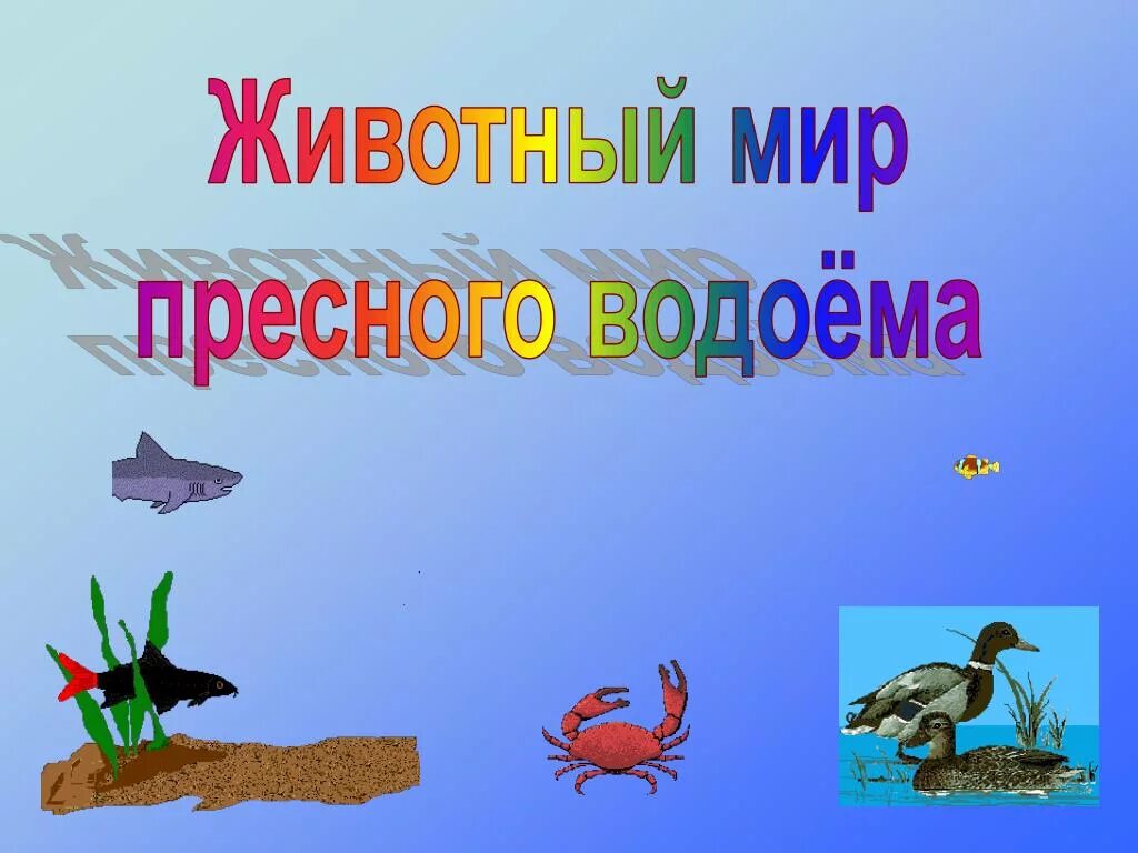 Животные пресных водоемов 4 класс. Презентация обитатели водоемов. животный мир пресных водоемов. животные водоемов презентация. пресный водоем и его обитатели.