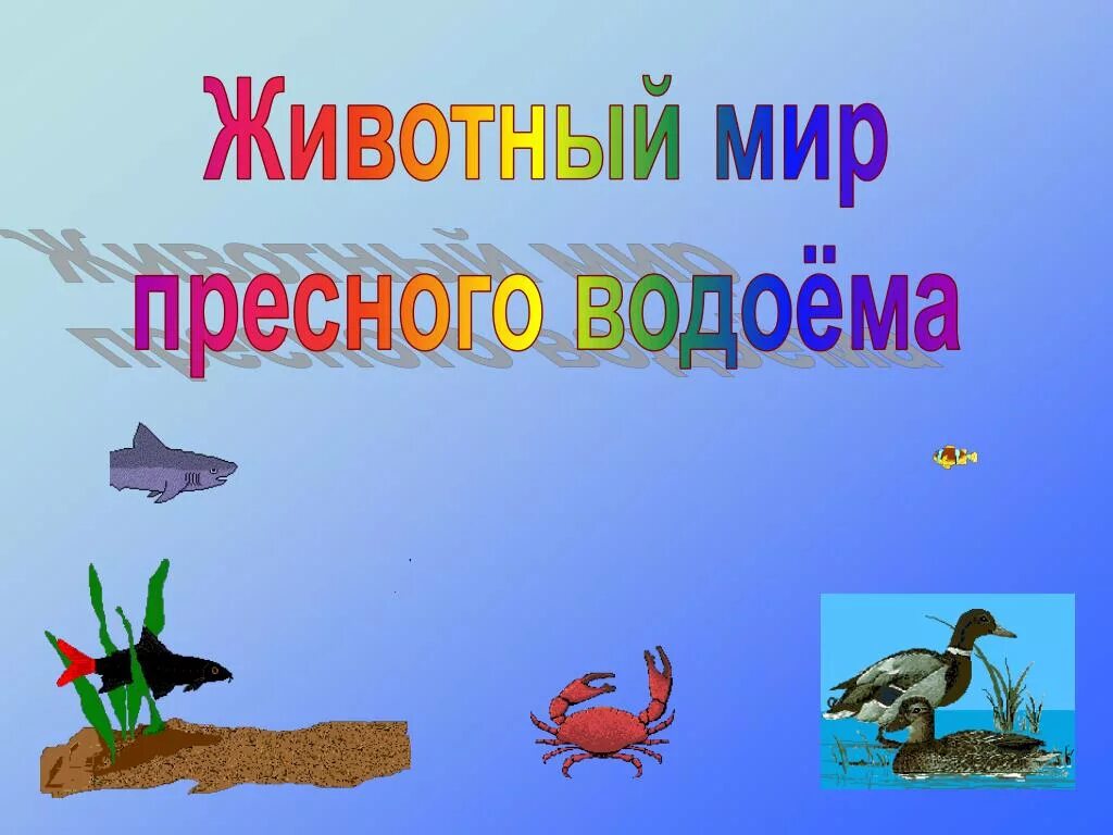 Обитатели водоемов детям. Животный мир водоемов. Обитатели водоемов презентация. Обитатели пресных вод. Обитатели пресных водоемов.