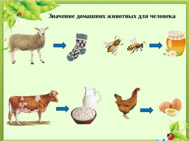 Домашние животные их значение. Значение домашних животных для человека. роль домашних животных для человека. модель домашние животные для человека. домашние животные значение.