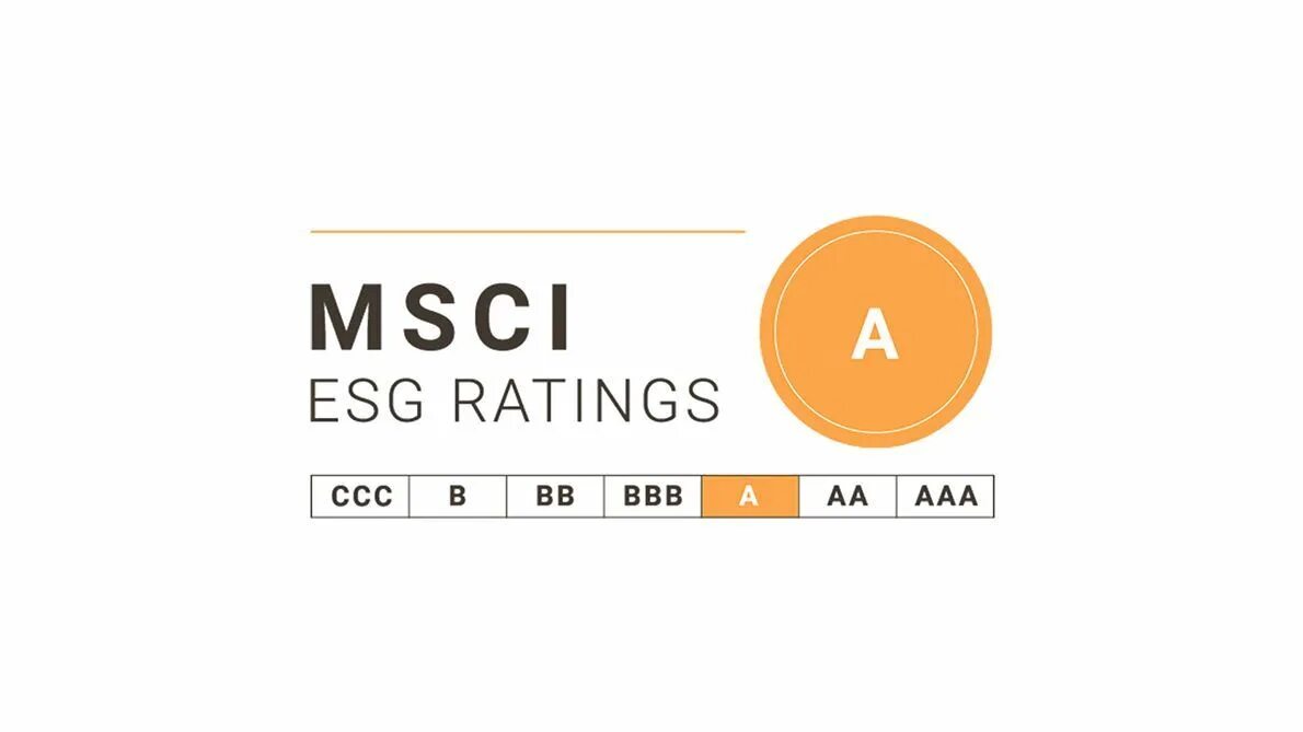 Esg отчетность. MSCI ESG rating. ESG рейтинг MSCI. Шкала ESG. ESG рейтинг logo.