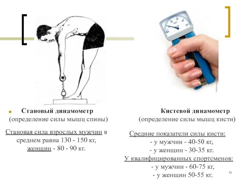 Экспериментатор решил установить зависимость скорости