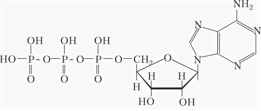 АТФ молекула макроэргическая связь. Макроэргические соединения примеры. Схема молекулы АТФ В виде кругов и палочек. АТФ-400 фото.