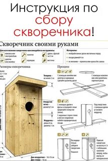 Скворечник транскрипция