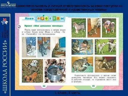 Волшебный поступки