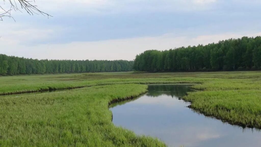 Урга нижегородская область. Кочко-пожарки нижегородская. Исток реки урга нижегородская. Урга (приток суры). Река урга чувашия.