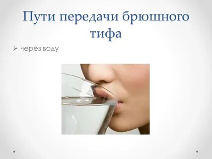 Пути передачи брюшного тифа