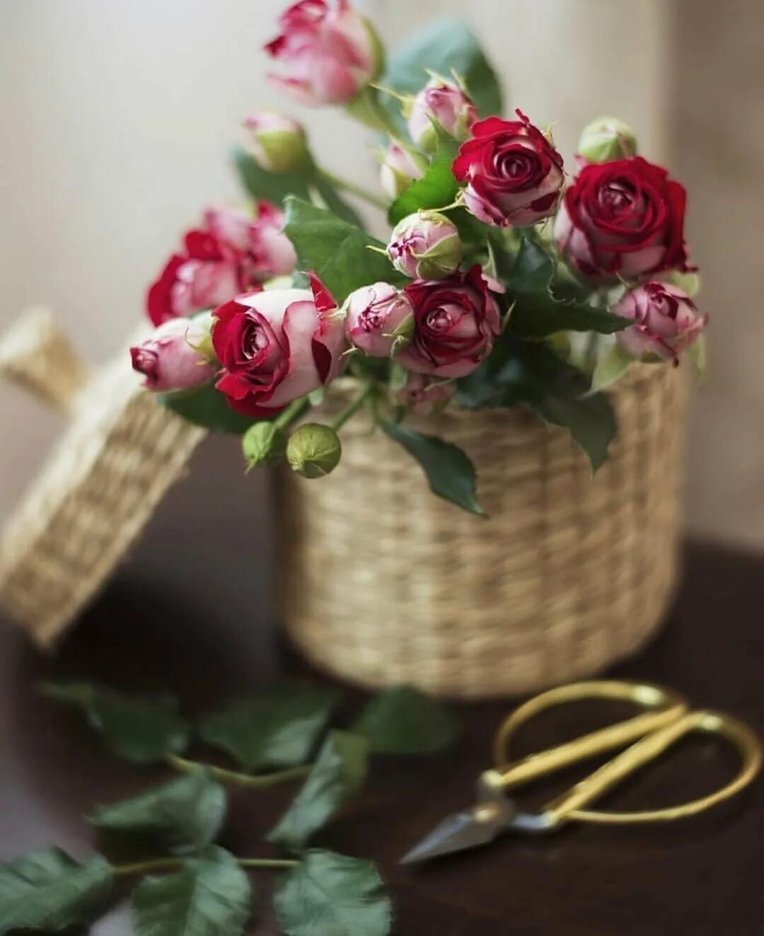 пионы с пожеланиями хорошего дня. открытки с добрым пятничным утром. доброе утро пятницы пожелания. доброго пятничного утра анимация. доброе утро пятницы.