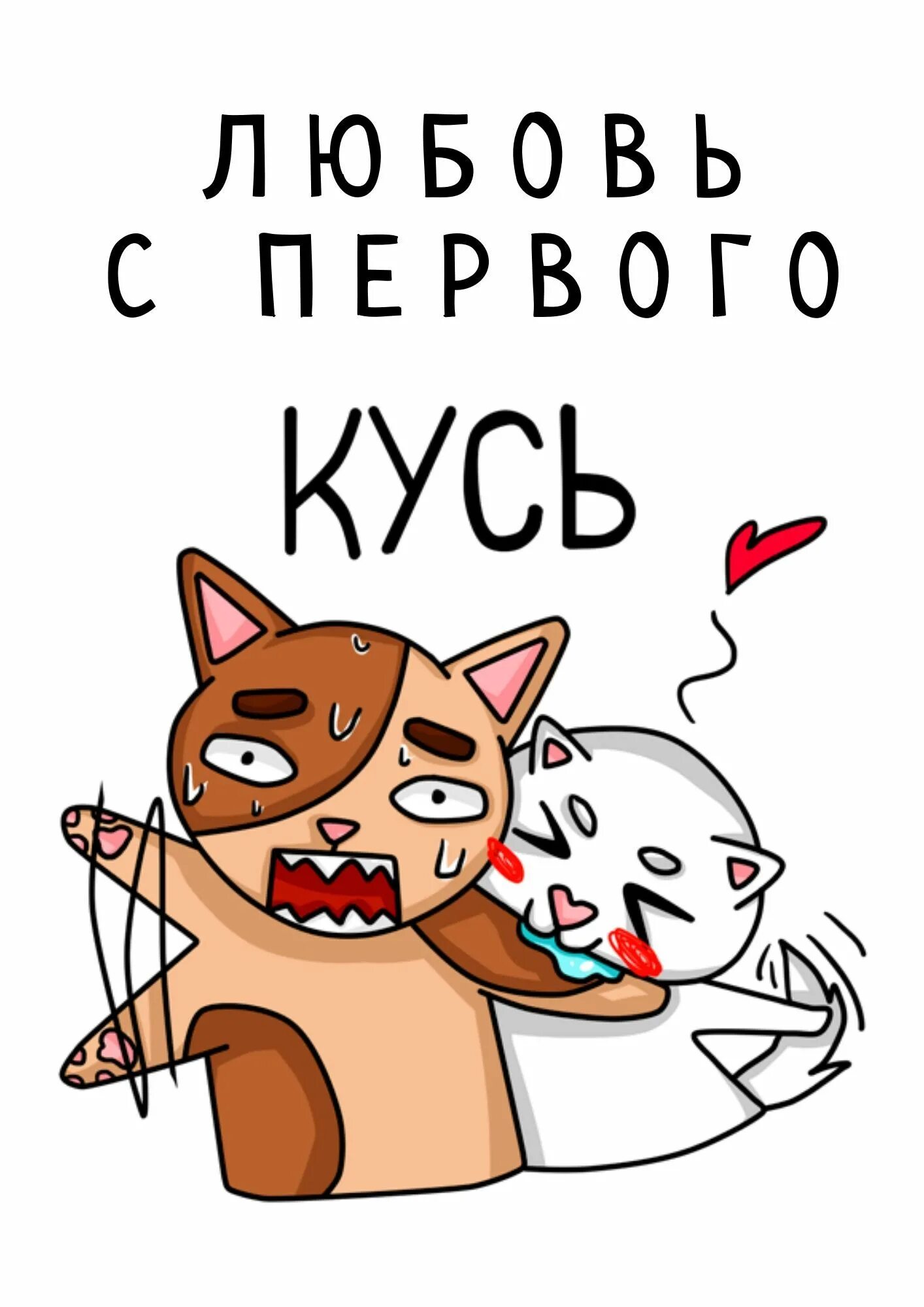 Стики котиков. Стикер Кусь. Кусь стикер ВК. Стикер Кусь котики. Стикер Кусь Кусь.