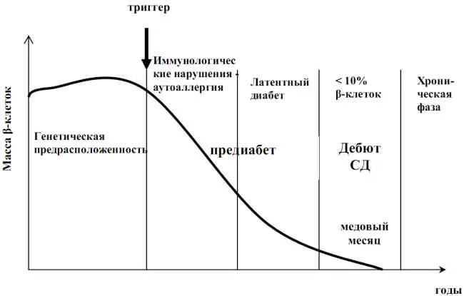 Сахарный диабет стадии. Стадии сахарного диабета 1 типа. Этапы развития сахарного диабета 1 типа. Стадии развития сахарного диабета 1 типа. Этапы развития СД 1 типа.