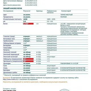 Повышены лейкоциты в моче от глистов - фото презентация