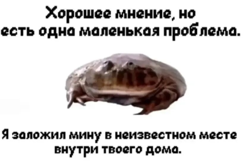 Но есть одна маленькая проблема я заложила. Хорошее мение, не большая проблема. Хорошее мнение но есть одна маленькая проблема. Доктор я буду жить. День психического здоровья мем.