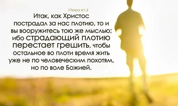 Страдающий плотью перестает грешить. Страдающий по плоти перестает грешить. ибо страдающий плотию перестает грешить,. страдающий плотью перестает грешить библия. христос пострадал за нас.