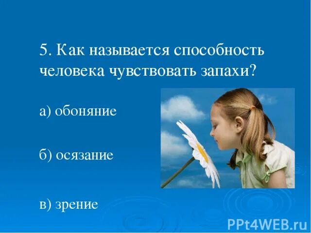 Как называется способность человека чувствовать запахи. Обоняние - это способность человека чувствовать запахи.. Как называются способности человека. Как человек чувствует запахи. Человек запаху определяет