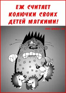 Напугал ежа