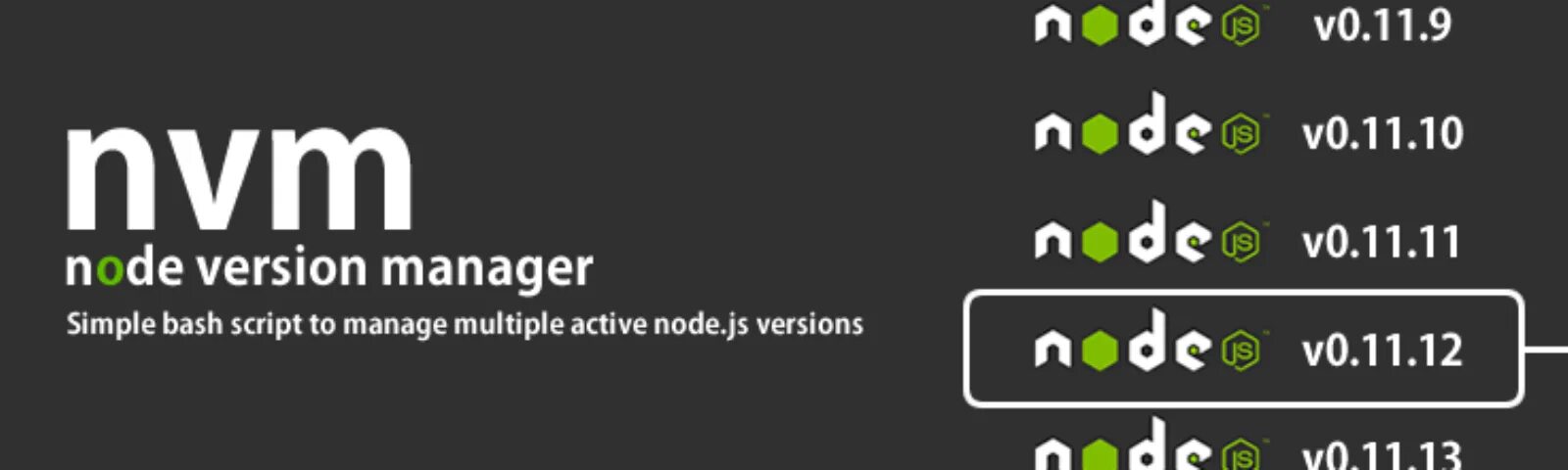 Nvm js. Nvm. node version manager. nvm use lts. v nvm.
