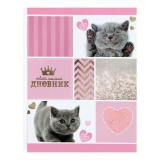 Дневник мил