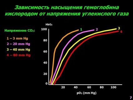 Транспорт кислорода гемоглобином