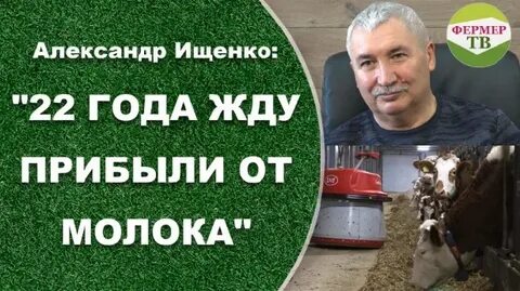 Прибыл жду
