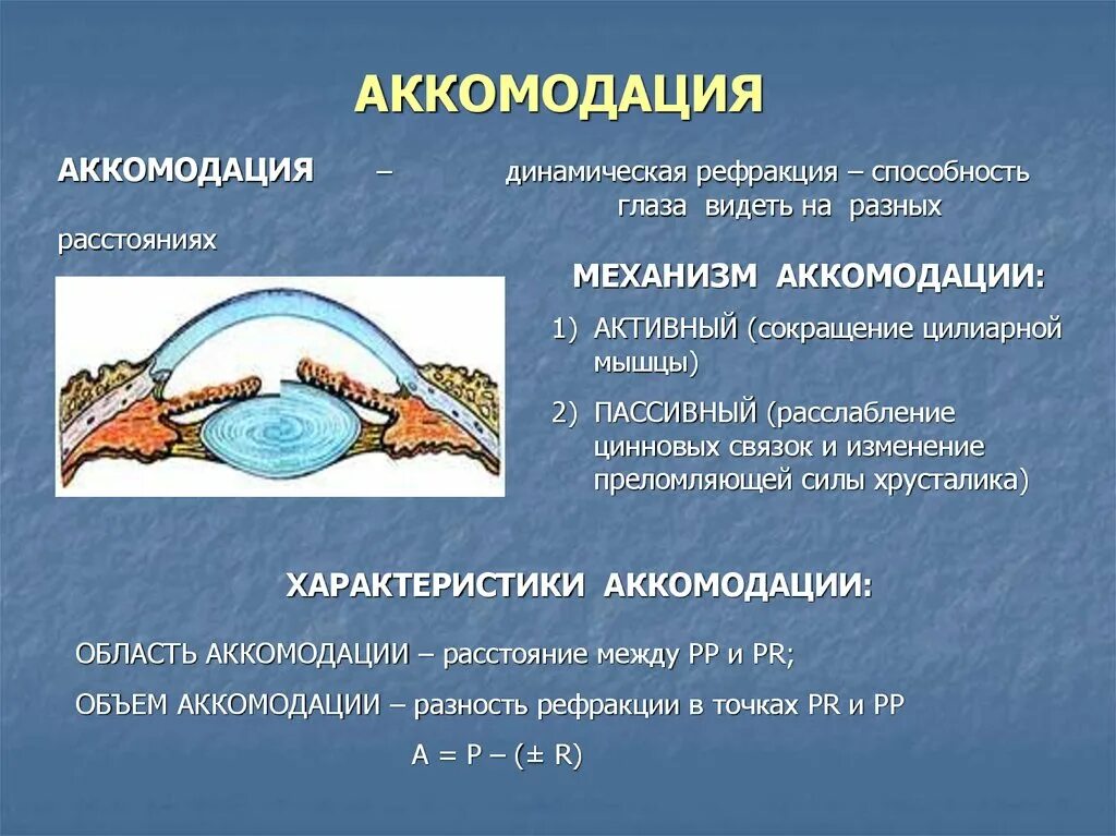 Функцию аккомодации. Аккомодация. Аккомодация аккомодационный аппарат. Аккомодационные структуры глаза. Аккомодация глаза.