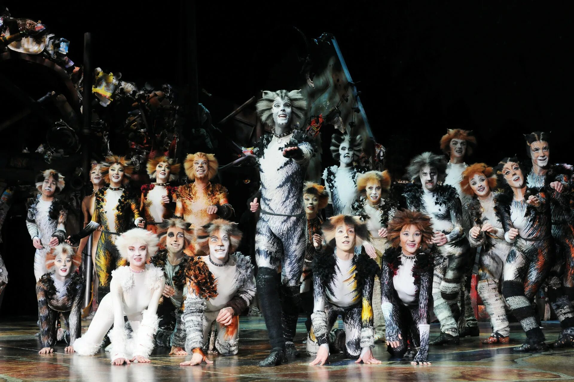 Эндрю уэббер кошки. Мюзикл кошки Бродвей. Мюзикл кошки Уэббер. Мюзикл кошки 1981. Мюзикл Эндрю Ллойда Уэббера кошки.