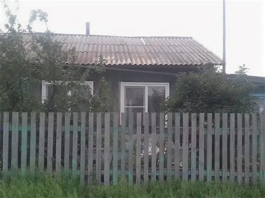 Авито маккавеево. Маккавеево. село маккавеево. маккавеево забайкальский. село маккавеево забайкальский край.