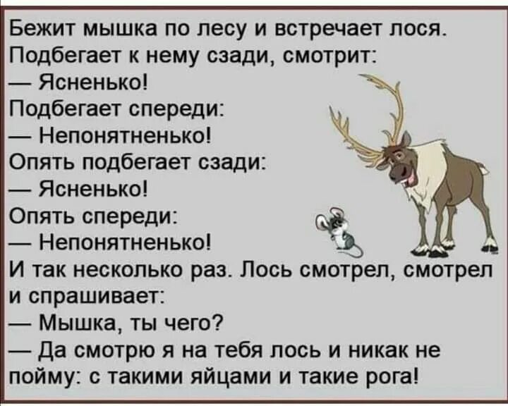 Добрый вечер про лося. Анекдот про лося. Шутки про лося. Анекдот про лосиху. Смешные шутки про лося.