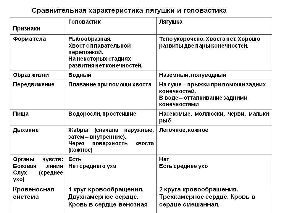 Черты сходства строения земноводных и рыб. Таблица по биологии особенности внутреннего строения земноводных. Сравнительная таблица внутреннего строения лягушки. Сравнительная таблица внутреннего строения лягушки и головастика. Таблица по внутреннему строению земноводных 7 класс.