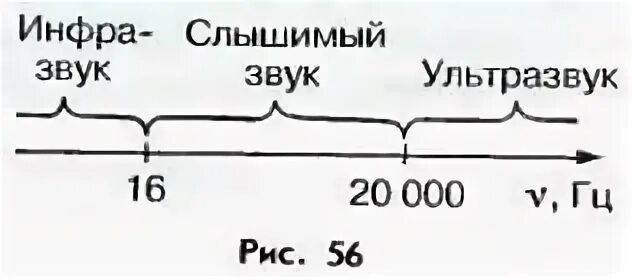 Звук и ультразвук. Инфразвук. Шкала звуков ультразвук. Инфразвук шкала.