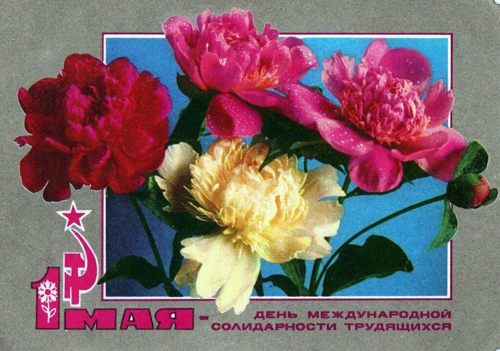 Открытка с международным днем трудящихся. День международной солидарности трудящихся 1 мая открытки. советские первомайские открытки. советские открытки с 1 мая. день международной солидарности трудящихся советские открытки.