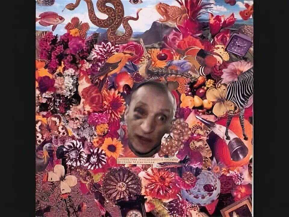 Коллажи егора летова картины. О отшествии преподобнаго в пустыню от славы. Толстовка егор и опизденевшие. О отшествии преподобного в пустыню. Гражданская оборона прыг скок обложка.