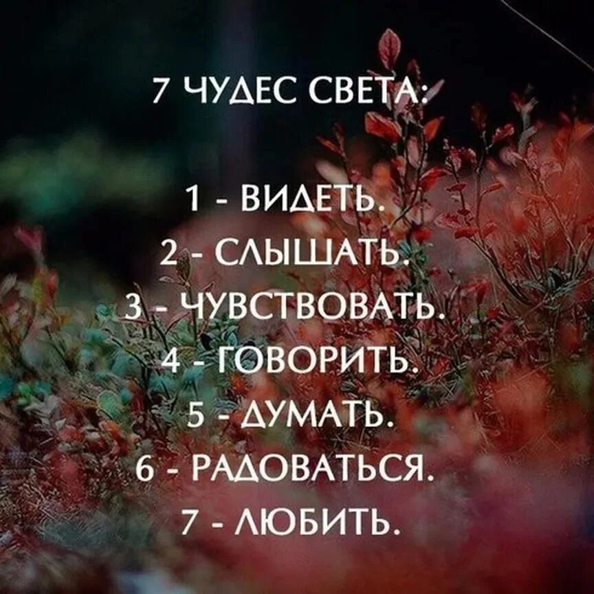 Часто бывает что чудеса. Высказывания про чудеса. Цитаты про чудо. Фразы про чудеса. Высказывания о чудесах.